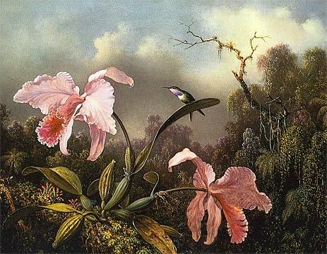 Martin Johnson Heade Orchids and Hummingbird 2